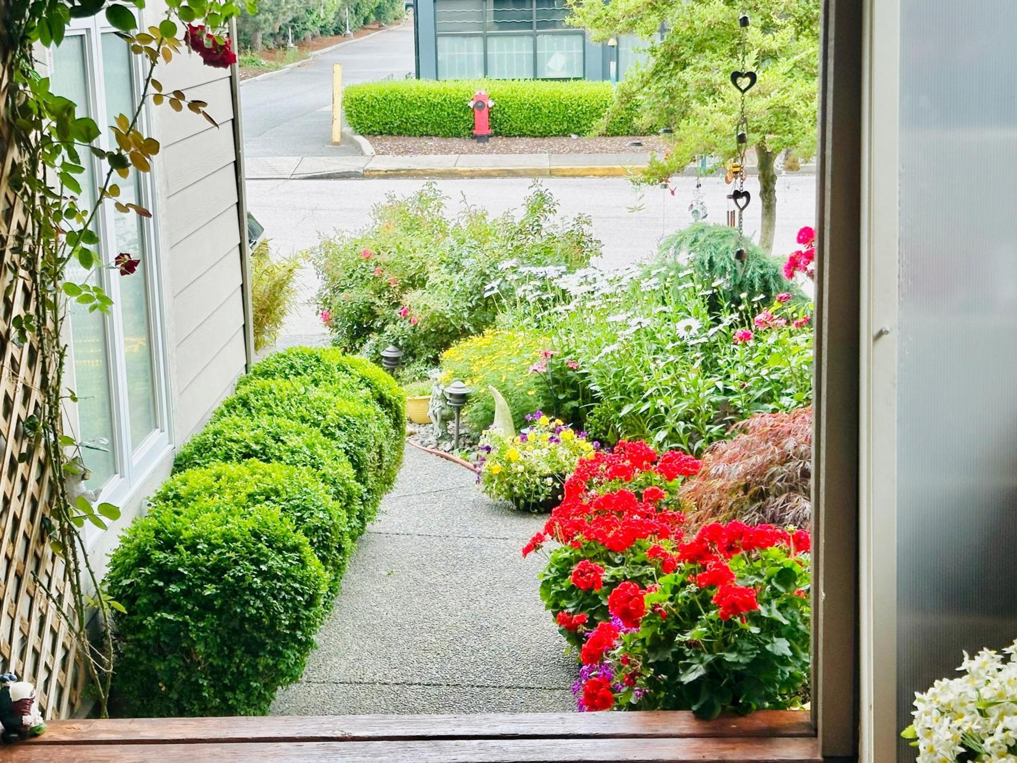 Homestay Scorpio House Langley- 3